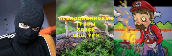mdpv Куйбышев