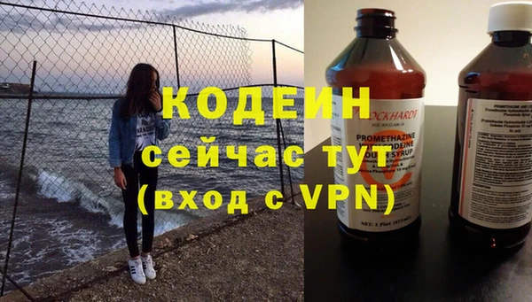 PSILOCYBIN Кулебаки