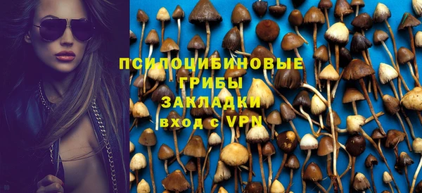 Альфа ПВП Кукмор
