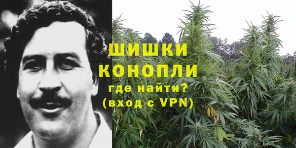 Альфа ПВП Кукмор